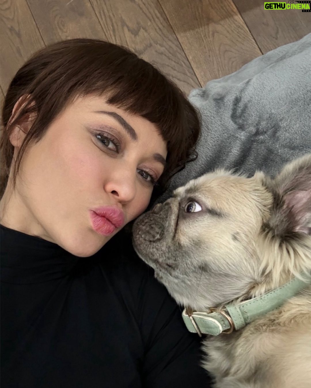 Olga Kurylenko Wiki, Biography, Age, Gallery, Spouse and more