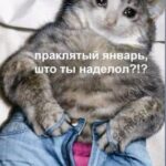 Olga Medynich Instagram - Жизнь -боль …. Врываюсь в рабочее состояние , ну как врываюсь ….. ползу 🐌🐌🐌 #завтравсе #нежрать #скоросьемки #медыничольга #когояобманываю #скемяговорю #? #🤣