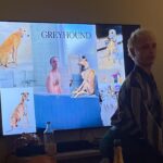 Olivia Cooke Instagram - greyhound or @thomasflynn