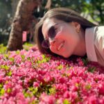 Olivia Jensen Instagram - Beds Of Flowers Blooming in Spring 🌸🌸🌸🌸🌸🌸🌸🌸🌸🌸🌸🌸🌸🌸🌸🌸🌸 #italytravel #OJTravels #italytraveldiary