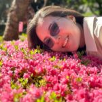 Olivia Jensen Instagram - Beds Of Flowers Blooming in Spring 🌸🌸🌸🌸🌸🌸🌸🌸🌸🌸🌸🌸🌸🌸🌸🌸🌸 #italytravel #OJTravels #italytraveldiary