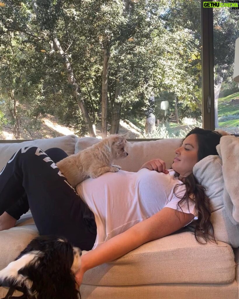 Olivia Munn Instagram - To the pups who made me a mom first…. I love you Chance Frankie. 🐶🐶 #mothersday (that’s Malcolm in my belly 💙)