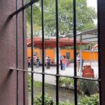 Olivia Scott Welch Instagram - Went to Mexico City a few weeks ago. Best food I’ve ever had
