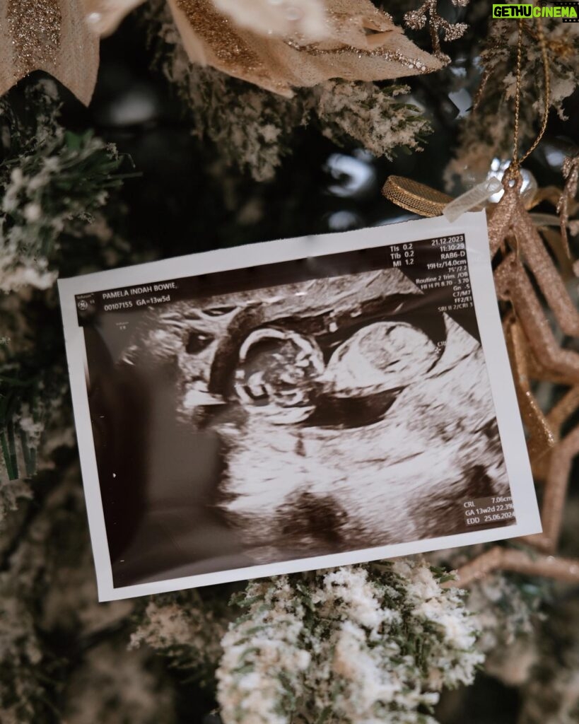 Pamela Bowie Instagram - Merry Christmas everyone! Our family is growing by two tiny feet! Wishing you a joyful holiday season filled with peace and love 🤍🎄👶🏻