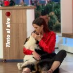 Pamela David Instagram - Cada uno labura como quiere y puede. 🐶 Tinto