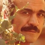 Parastoo Salehi Instagram - وقتی بهم رسیدیم، با هم بهارو دیدیم، خنده میشه گریه های ما ... همبستگی از زبان حضرت عشق دکتر فریدون فرخزاد ❤️⭐️👑 . پی نوشت: شایعه ی تجزیه ایران کار رژیم آخوندی ست برای ترساندن مردم جدی نگیرید😉 ‏‎#نه_به_جمهوری_اسلامی ‏‎#ایران #همبستگی #زن_زندگی_آزادی #نه_به_حکومت_دینی ‏‎#آزادی#آزادی_بیان #مهسا_امینی #پرواز۷۵۲ #آبان۹۸ #مادران_آبان #۸۸ #زندانی_سیاسی #بکتاش_آبتین #محمد_رسول_اف #فریدون_فرخزاد #نه_به_حجاب_اجباری #نه_به_گشت_ارشاد #نه_به_دیکتاتوری #پرستو_صالحی #شروین_حاجی_پور ‏#parastoo_salehi #actress #Iran #freedom #mahsa_amini