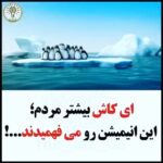 Parastoo Salehi Instagram - به زبان ساده حرف اول و آخر همبستگی همبستگی همبستگی . #پرستوصالحی #بازیگر #ایران #همبستگی #‏Correlation #‏‏solidarizm #parastoo_salehi #Actress