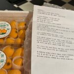 Park Na-rae Instagram - 비파를 아시나요? 나혼산에서 할머니와 함께 만든 비파쨈 비파주 방송이조금이나마 도움이 되었다니 행복합니다 저에게 비파는 여름을 알리는 과일이었고 할머니가 편찮으신 지금 저에게 비파는 할머니의 과일입니다 광고도 아니고 그저 마음으로 보내주신 선물인데 할머니 생각에 코 끝이 찡했습니다 감사합니다 생각해보니 나혼자산다도 참 고맙습니다!!!😍