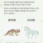 Park Na-rae Instagram - 내가 바로 써니따라쟁이 ㅎ 이제야 써니랑 궁합이 맞네 꽃돼지상하고 고양이상인데 개구리에 겨우 맞췄네 그나저나 내년에 이불킥이라니... 침대 위에 메시가 되겠구나 하아..