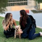 Patricia Stratigeas Instagram - We’re gonna miss our little road buddy. @_thekenz_ was a part of our travels for literally decades. What a life @machetegirl gave her. She was the best mommy anyone coulda asked for. Rest easy Kenzie ♥️ 🐾