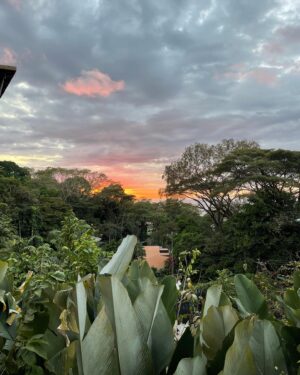 Paula Bolatti Instagram - ✈️Conoce el pacífico ecuatoriano con @copaairlines a través del Hub de las Américas en Panamá con 3 vuelos semanales para llegar a Manta la capital atunera del mundo. Increíbles playas y actividades deportivas te esperan ingresando a Copa.com Organiza desde ya tus próximas vacaciones! 🤩
 .
#PauliiViajes #Copa #CopaTravelers #DestinoCopa #Copa2Manta