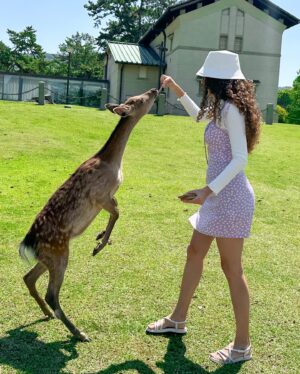 Paula Stephânia Instagram - 🇯🇵Já tem quase 1 mês que estamos no Japão e  me sinto tão conectada com esse lugar! Tento tanto pra contar pra vcs! 
Mas tô aproveitando tanto que sobra pouco tempo pra postar. Assim que voltar se preparem pra uma chuva de conteúdos sobre um dos lugares mais legais do mundo!!! 

 Enquanto isso, olha só por onde temos andado:

📍1 e 2- Fushimi Inari Taisha-Kyoto
📍3 e 4- Nara Park
📍5- Floresta de bambu Arashiyama -Kyoto 
📍6- Estação Arashiyama - Kyoto
📍7- Rio Kamo Kyoto
📍8- Matcha chá
