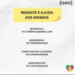 Pepita Instagram – O Rio Grande do Sul precisa de todos nós! Esse momento é de unirmos forças para ajudarmos a população do RS, os animais e cada município afetado por essa tragédia.

Ajude da forma que você puder, seja em doação em dinheiro, em doação de itens, em doação do seu tempo como um voluntário ou simplesmente compartilhando informações reais sobre o que está acontecendo.

Neste post, deixei o PIX de instituições confiáveis e locais que estão recebendo doações! Vamos juntos nessa corrente do bem! #SOSRIOGRANDEDOSUL