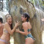 Peyton Elizabeth Lee Instagram - Thailand roundup pt. 2
