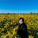 Ployshompoo Supasap Instagram - 🌻 บ้ายบายปีเก่า ขอบคุณทุกเรื่องราวที่เกิดขึ้น เป็นปีที่อีโมมากๆ หลายเหตุการณ์ทำให้ได้คุยกับตัวเอง ได้ทบทวนอะไรหลายอย่าง ได้เรียนรู้ และปล่อยวางได้หลายเรื่อง ขอบคุณทุกประสบการณ์ ทั้งดีและร้าย แต่ไม่ต้องร้ายมากก็ได้งับพี่ นุท่อแทร่ แต่ทุกสิ่งคือบทเรียน ที่สำคัญเลยคือคนรอบข้าง ทั้งครอบครัว เพื่อน พี่ๆน้องๆ แจนนิเวิสและทุกๆคนที่ให้การสนับสนุนแจนมาตลอด ปีนี้ไม่แย่นัก ยังมีสิ่งที่น่ารักอยู่ ยังไงก็ขอบคุณจริงๆฮะ ปีนี้มาร่วมทางกันต่อ จับมือกันไปนานๆนะ สวัสดีปีใหม่ค่ะ #HNY2024 💜✨