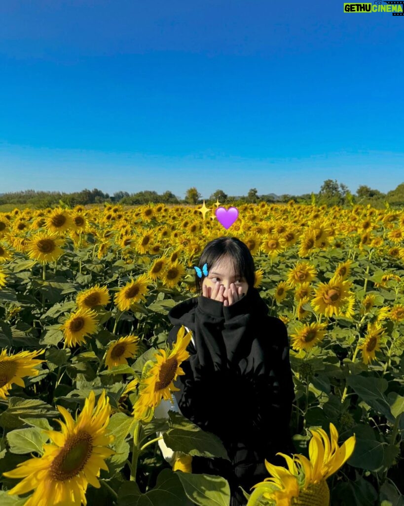 Ployshompoo Supasap Instagram - 🌻 บ้ายบายปีเก่า ขอบคุณทุกเรื่องราวที่เกิดขึ้น เป็นปีที่อีโมมากๆ หลายเหตุการณ์ทำให้ได้คุยกับตัวเอง ได้ทบทวนอะไรหลายอย่าง ได้เรียนรู้ และปล่อยวางได้หลายเรื่อง ขอบคุณทุกประสบการณ์ ทั้งดีและร้าย แต่ไม่ต้องร้ายมากก็ได้งับพี่ นุท่อแทร่ แต่ทุกสิ่งคือบทเรียน ที่สำคัญเลยคือคนรอบข้าง ทั้งครอบครัว เพื่อน พี่ๆน้องๆ แจนนิเวิสและทุกๆคนที่ให้การสนับสนุนแจนมาตลอด ปีนี้ไม่แย่นัก ยังมีสิ่งที่น่ารักอยู่ ยังไงก็ขอบคุณจริงๆฮะ ปีนี้มาร่วมทางกันต่อ จับมือกันไปนานๆนะ สวัสดีปีใหม่ค่ะ #HNY2024 💜✨