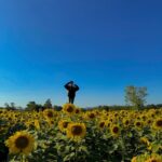 Ployshompoo Supasap Instagram - 🌻 บ้ายบายปีเก่า ขอบคุณทุกเรื่องราวที่เกิดขึ้น เป็นปีที่อีโมมากๆ หลายเหตุการณ์ทำให้ได้คุยกับตัวเอง ได้ทบทวนอะไรหลายอย่าง ได้เรียนรู้ และปล่อยวางได้หลายเรื่อง ขอบคุณทุกประสบการณ์ ทั้งดีและร้าย แต่ไม่ต้องร้ายมากก็ได้งับพี่ นุท่อแทร่ แต่ทุกสิ่งคือบทเรียน ที่สำคัญเลยคือคนรอบข้าง ทั้งครอบครัว เพื่อน พี่ๆน้องๆ แจนนิเวิสและทุกๆคนที่ให้การสนับสนุนแจนมาตลอด ปีนี้ไม่แย่นัก ยังมีสิ่งที่น่ารักอยู่ ยังไงก็ขอบคุณจริงๆฮะ ปีนี้มาร่วมทางกันต่อ จับมือกันไปนานๆนะ สวัสดีปีใหม่ค่ะ #HNY2024 💜✨