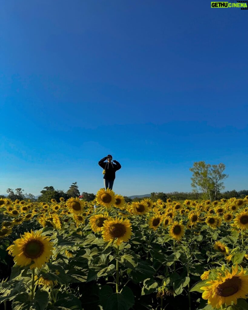 Ployshompoo Supasap Instagram - 🌻 บ้ายบายปีเก่า ขอบคุณทุกเรื่องราวที่เกิดขึ้น เป็นปีที่อีโมมากๆ หลายเหตุการณ์ทำให้ได้คุยกับตัวเอง ได้ทบทวนอะไรหลายอย่าง ได้เรียนรู้ และปล่อยวางได้หลายเรื่อง ขอบคุณทุกประสบการณ์ ทั้งดีและร้าย แต่ไม่ต้องร้ายมากก็ได้งับพี่ นุท่อแทร่ แต่ทุกสิ่งคือบทเรียน ที่สำคัญเลยคือคนรอบข้าง ทั้งครอบครัว เพื่อน พี่ๆน้องๆ แจนนิเวิสและทุกๆคนที่ให้การสนับสนุนแจนมาตลอด ปีนี้ไม่แย่นัก ยังมีสิ่งที่น่ารักอยู่ ยังไงก็ขอบคุณจริงๆฮะ ปีนี้มาร่วมทางกันต่อ จับมือกันไปนานๆนะ สวัสดีปีใหม่ค่ะ #HNY2024 💜✨