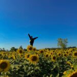 Ployshompoo Supasap Instagram - 🌻 บ้ายบายปีเก่า ขอบคุณทุกเรื่องราวที่เกิดขึ้น เป็นปีที่อีโมมากๆ หลายเหตุการณ์ทำให้ได้คุยกับตัวเอง ได้ทบทวนอะไรหลายอย่าง ได้เรียนรู้ และปล่อยวางได้หลายเรื่อง ขอบคุณทุกประสบการณ์ ทั้งดีและร้าย แต่ไม่ต้องร้ายมากก็ได้งับพี่ นุท่อแทร่ แต่ทุกสิ่งคือบทเรียน ที่สำคัญเลยคือคนรอบข้าง ทั้งครอบครัว เพื่อน พี่ๆน้องๆ แจนนิเวิสและทุกๆคนที่ให้การสนับสนุนแจนมาตลอด ปีนี้ไม่แย่นัก ยังมีสิ่งที่น่ารักอยู่ ยังไงก็ขอบคุณจริงๆฮะ ปีนี้มาร่วมทางกันต่อ จับมือกันไปนานๆนะ สวัสดีปีใหม่ค่ะ #HNY2024 💜✨