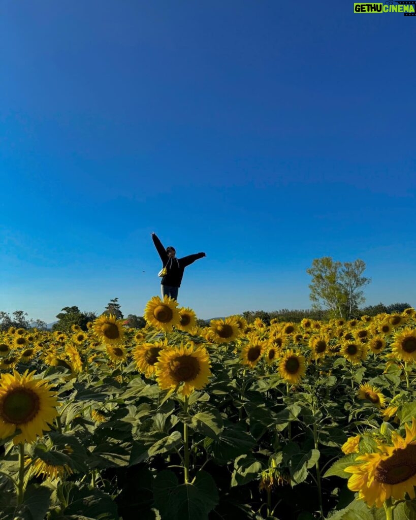 Ployshompoo Supasap Instagram - 🌻 บ้ายบายปีเก่า ขอบคุณทุกเรื่องราวที่เกิดขึ้น เป็นปีที่อีโมมากๆ หลายเหตุการณ์ทำให้ได้คุยกับตัวเอง ได้ทบทวนอะไรหลายอย่าง ได้เรียนรู้ และปล่อยวางได้หลายเรื่อง ขอบคุณทุกประสบการณ์ ทั้งดีและร้าย แต่ไม่ต้องร้ายมากก็ได้งับพี่ นุท่อแทร่ แต่ทุกสิ่งคือบทเรียน ที่สำคัญเลยคือคนรอบข้าง ทั้งครอบครัว เพื่อน พี่ๆน้องๆ แจนนิเวิสและทุกๆคนที่ให้การสนับสนุนแจนมาตลอด ปีนี้ไม่แย่นัก ยังมีสิ่งที่น่ารักอยู่ ยังไงก็ขอบคุณจริงๆฮะ ปีนี้มาร่วมทางกันต่อ จับมือกันไปนานๆนะ สวัสดีปีใหม่ค่ะ #HNY2024 💜✨