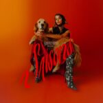 Pomme Instagram - l’automne et l’hiver, la moitié de mon nouvel album qui s’appelle saisons, sont disponibles sur toutes les plateformes. ❤️‍🔥 c’est fait pour être écouté plutôt d’une traite, dans l’ordre. mais c’est vous qui décidez. prenez-en bien soin. artwork: @safianolin