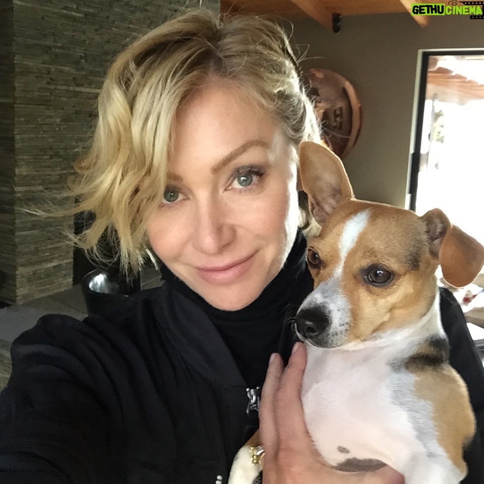 Portia de Rossi Instagram - Me and my little man Augie just after we rescued him. He was returned to the shelter twice before we took him. He is truly the best dog I’ve ever had—don’t tell the others! #nationalpetrescueday