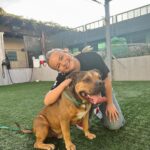 Pressley Hosbach Instagram - heart is so happy. @pasadenahumane ps! both babies are available for adoption ❤️ Pasadena, California
