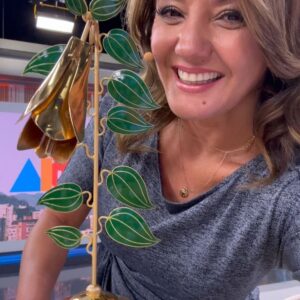 Priscilla Vargas Instagram - GRACIAS TOTALES  a los amigos de @lacuartacom a mis compañeros de @tudia13 y a todos los que votaron por mi!! 🤗
Mi segundo #copihuedeoro ahora como Animadora del Año en @canal13cl .
Se pasaron!!!! ❤️