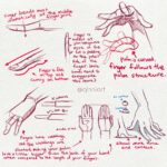 Qing Han Instagram - A new collection of hand references and some old hand tutorial ✌️😆 • I love drawing hands~! Any body part you love to draw? Or even have trouble drawing? • I didn't actually plan on colouring them but here we are xD~ the tutorial's old but I stand by these tips still. I've just refined (I hope lol) the way I draw hands now. Feel free to use for practice. Tip: do 10 hands for 20 days and you'll improve them for sure! I used to have trouble drawing feet but after doing 100 of them, I got much better and faster at them. And don't forget, you have your very own reference right at your fingertips. Get it? Haha....sorry 😂 • Hope you guys find this useful and have a good holiday 😄 #tutorial #hands #fbf