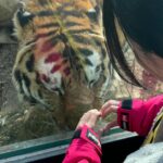 Qri Instagram - When I go to the zoo ⁎⁺˳🐆🐢🦒
