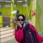 Qri Instagram - When I go to the zoo ⁎⁺˳🐆🐢🦒