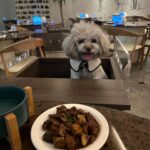 Qri Instagram - What‘s on the menu for dinner tonight? 🥘🐾