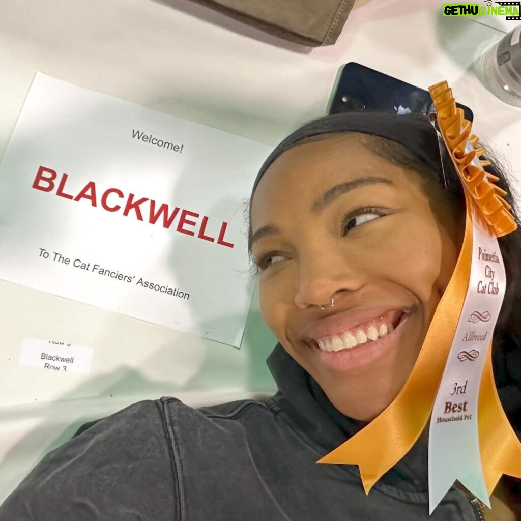 Quen Blackwell Instagram - CAMO WON HER FIRST CAT SHOW (and I made a documentary of it all on🤭OUT‼️NOW‼️)