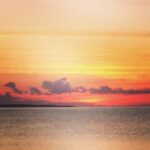Rachael Harris Instagram -