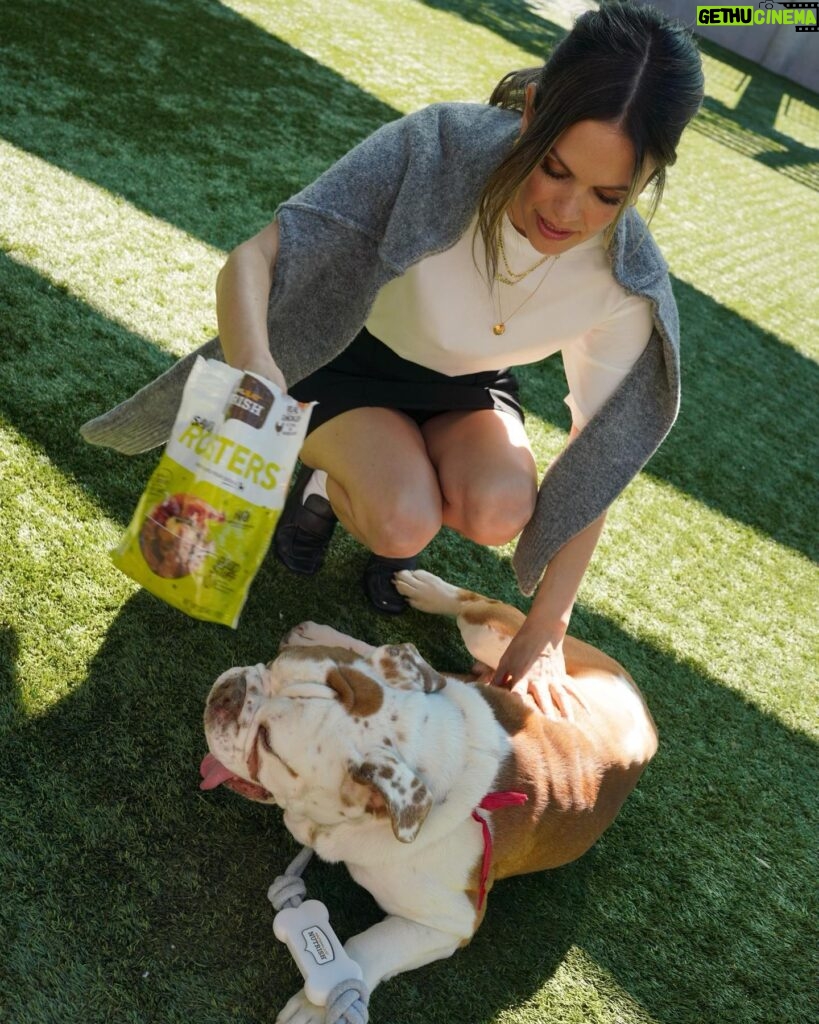 Rachel Bilson Instagram - #AD I’m proud to partner with @Nutrish to join in their mission of providing pets the opportunity to live a full and joyful life. With every bag of #Nutrish you purchase, you contribute to helping pets in need with food, care, medical supplies, treatments, and more through the Rachael Ray Foundation. Since 2019, The Rachael Ray Foundation has donated more than $7 million dollars a year to animal charities and organizations just like @pasadenahumane , giving pets the time and care they need to find their forever homes. ❤️🐶