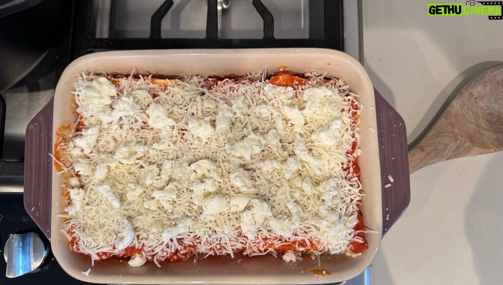 Rachel Bilson Instagram - Quickest, easiest throw it together weeknight lasagna!
