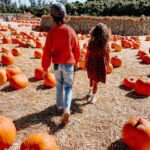 Rachel Hollis Instagram - Life lately 🍁🍂