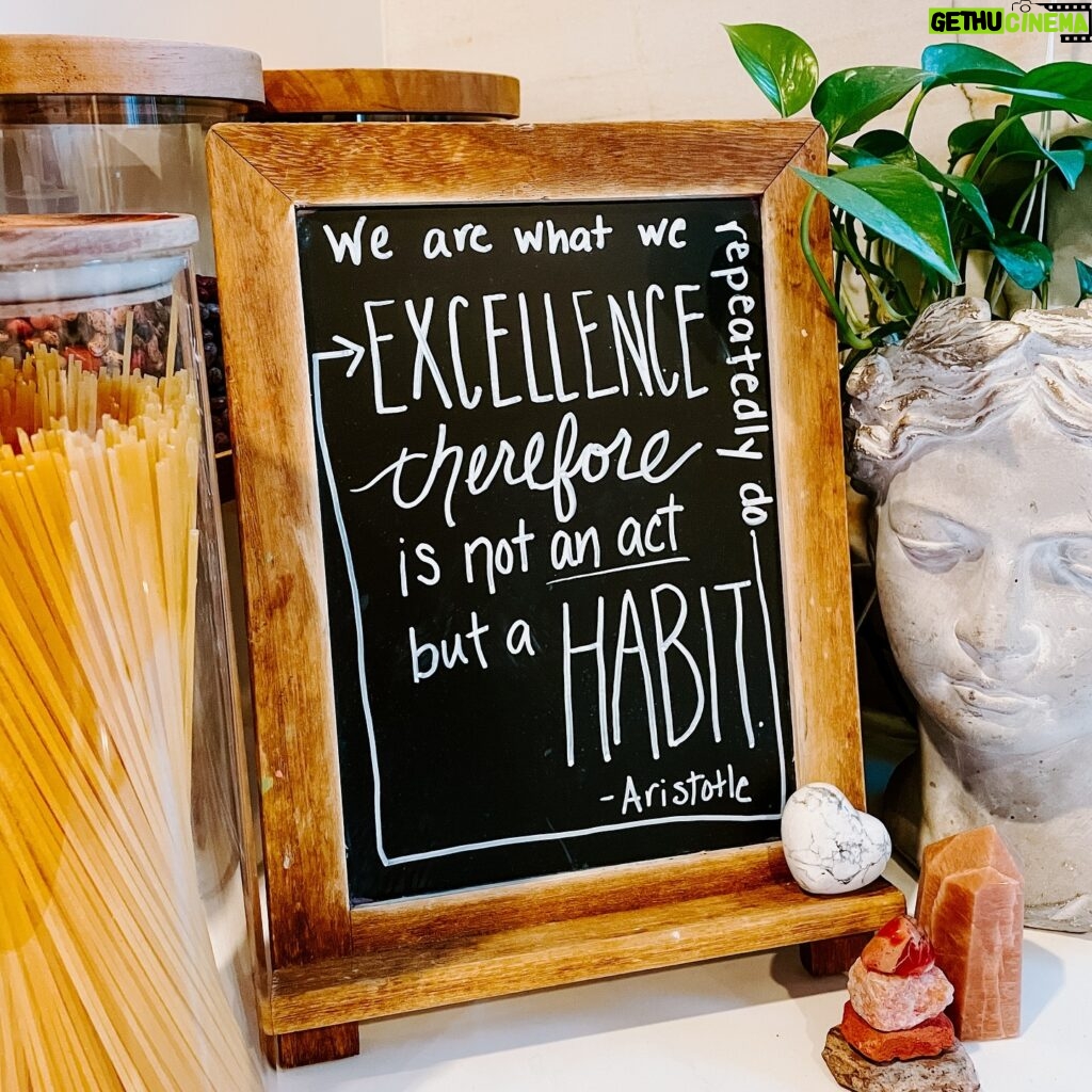 Rachel Hollis Instagram - “We are what we repeatedly do. Excellence, therefore, is not an act but a habit.” -Aristotle