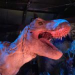 Raini Rodriguez Instagram - I took my family to visit Jurassic World: The Exhibition last week and y’all…it did not disappoint 🦖 There were so many beautiful sights and dinosaurs to see. You are completely transported to Isla Nublar! We even got to meet our favorite little dino, Bumpy!! Thank you @universalpictures, @jurassicworldexhibition, and @dreamworks for taking my family on an awesome adventure!! Y’all NEED to check out this exhibition! #JWExhibition #DinosinDallas #JurassicWorld #CampCretaceous