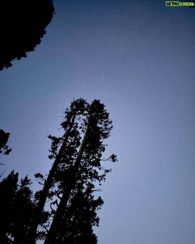 Raquel Pomplun Instagram - This weekend we disconnected 🤎 #Sequoia #California #Camping #exploring #touristing #pomplunation #family #familia #disconnect #appreciate #experience #forest #RaquelPomplun