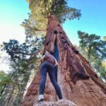 Raquel Pomplun Instagram – This weekend we disconnected 🤎

#Sequoia #California #Camping #exploring #touristing #pomplunation #family #familia #disconnect #appreciate #experience #forest #RaquelPomplun