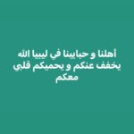 Rasha Rizk Instagram -