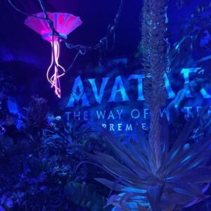 Raven-Symoné Instagram - Amazing night at #avatar premiere with @mirandamaday! Great movie! All 3.5 hours!! @suitedbydutch @tanner.fletcher @prada
