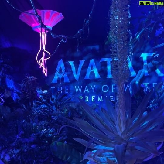 Raven-Symoné Instagram - Amazing night at #avatar premiere with @mirandamaday! Great movie! All 3.5 hours!! @suitedbydutch @tanner.fletcher @prada