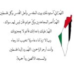 Reem Samy Instagram - 🇵🇸🇵🇸