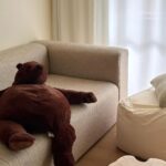 Reina Triendl Instagram – 🏠

インテリアが好きで
20歳くらいから欲しかったものをやっと
買ったり、好きな内装にリノベしてみたり。

熊🐻はIKEAから迎え入れました。

おうちが一番好きだ✌︎