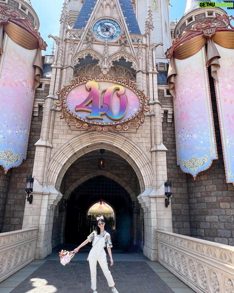 Rena Matsui Instagram - best celebration✨🩷 思い出の一部 #東京ディズニーランド #東京ディズニーリゾート #ディズニー40周年