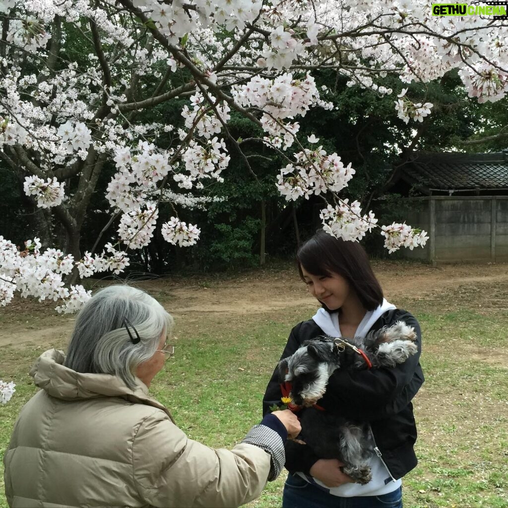 Rena Matsui Instagram - いろんな物を作ってみたり思いだしたり書き留めたりする日々。