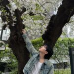 Renjun Instagram - 🌸🌸🌸🌸🌸🌸🌸🌸🌸🌸🌸🌸🌸🌸🌸🌸🌸🌸