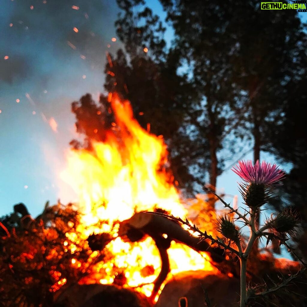 Richard Madden Instagram - Easter fire in Ibiza 🔥☺️